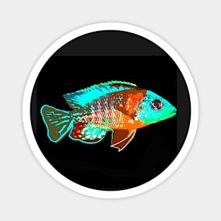 Peacock Cichlid Fish Magnet